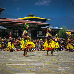 Festival of Paro, Paro (42)