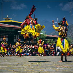 Paro (44) Festival of Paro