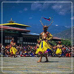 Paro (46) Festival of Paro