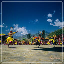 Festival of Paro, Paro (47)