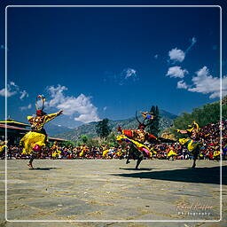 Paro (47) Festival de Paro