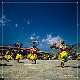 Festival of Paro, Paro (48)