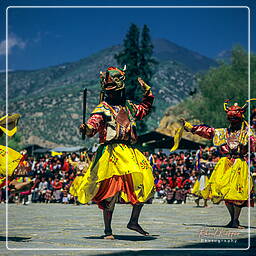 Paro (50) Festival of Paro