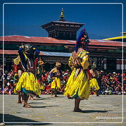Festival of Paro, Paro (51)