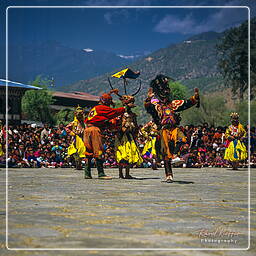 Paro (52) Festival of Paro