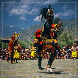 Paro (54) Festival of Paro