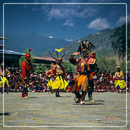 Paro (55) Festival of Paro