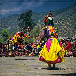 Paro (56) Festival of Paro