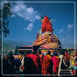 Paro (59) Festival of Paro