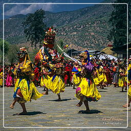 Festival of Paro, Paro (61)