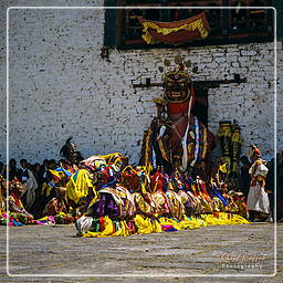 Paro (62) Festival of Paro