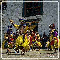 Paro (63) Festival of Paro