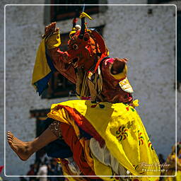Festival of Paro, Paro (64)