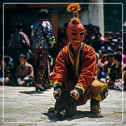 Paro (65) Festival of Paro