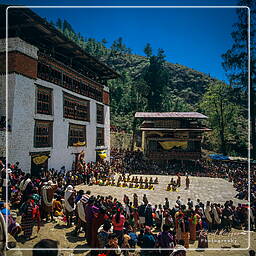 Festival of Paro, Paro (68)