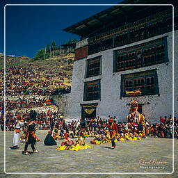 Festival of Paro, Paro (69)