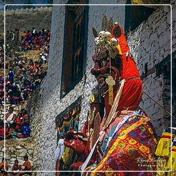 Paro (70) Festival of Paro