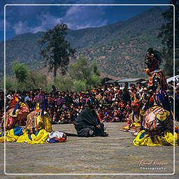 Festival of Paro, Paro (72)