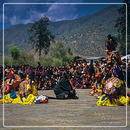 Paro (72) Festival of Paro