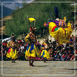 Festival of Paro, Paro (74)