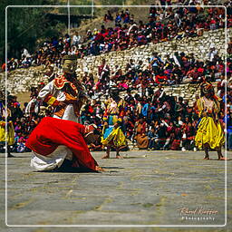 Festival of Paro, Paro (77)