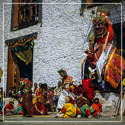 Festival of Paro, Paro (78)