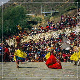 Paro (79) Festival von Paro