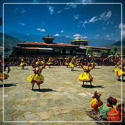 Paro (80) Festival of Paro