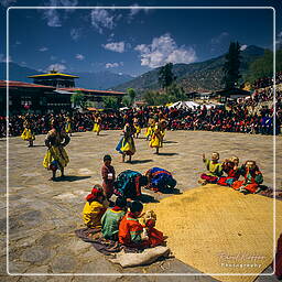 Paro (81) Festival von Paro