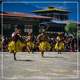 Paro (82) Festival von Paro