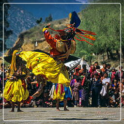 Festival of Paro, Paro (84)