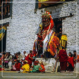 Festival of Paro, Paro (85)