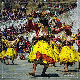 Paro (86) Festival of Paro