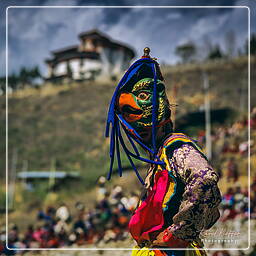 Festival of Paro, Paro (90)