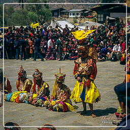 Festival of Paro, Paro (92)