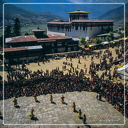 Festival of Paro, Paro (96)