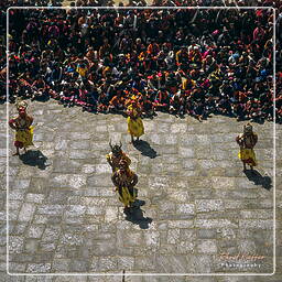 Festival of Paro, Paro (100)
