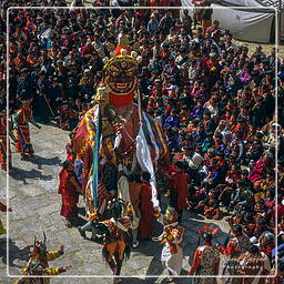 Paro (102) Festival of Paro