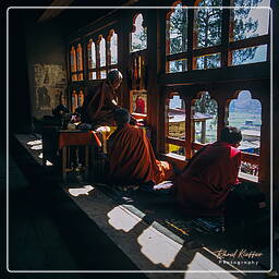 Festival of Paro, Paro (104)