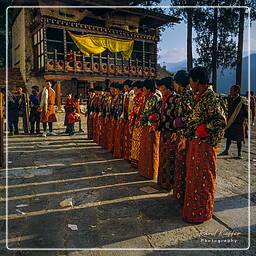 Paro (113) Festival of Paro