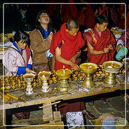 Paro (131) Festival of Paro