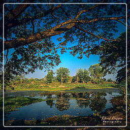 Banteay Chhmar (3)