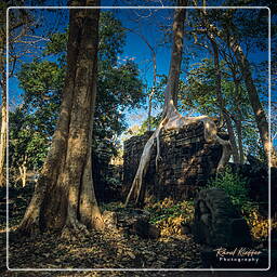 Banteay Chhmar (12)