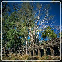 Banteay Chhmar (17)