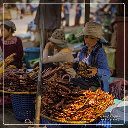 Battambang (7)