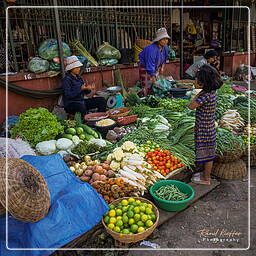 Battambang (8)