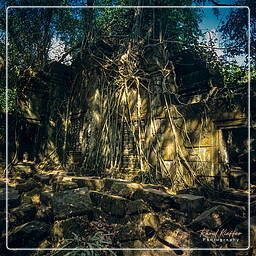 Beng Mealea (4)