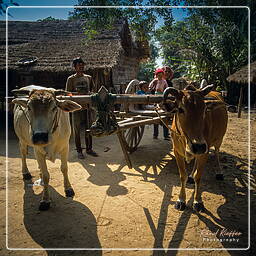 Village close to Battambang (2)