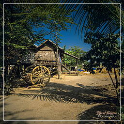 Village près de Battambang (4)