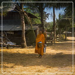 Village près de Battambang (8)